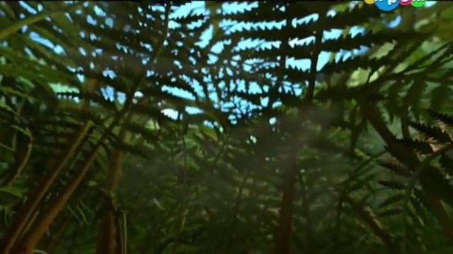 Новые приключения пчелки майи. смотреть онлайн