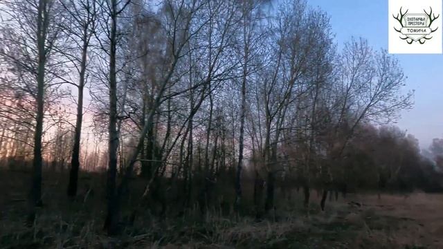 #9. Норма взята. Бомбический, дальний, меткий, четкий выстрел. Ata Neo Stream + Progress. смотреть онлайн