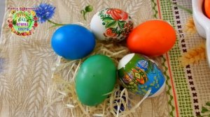 Можно ли в Вербную неделю или на Пасху сеять, садить?