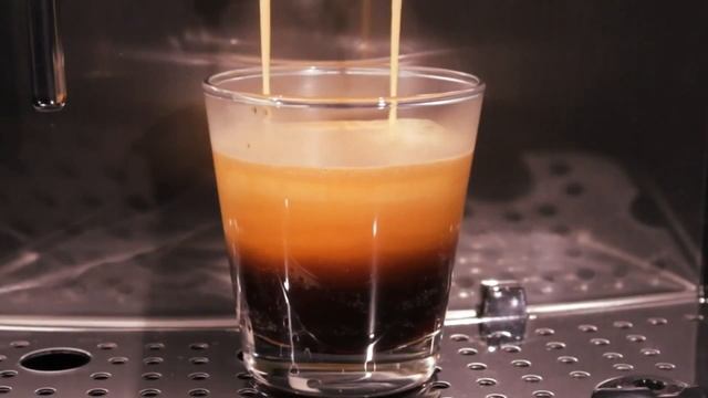 Gaggia Accademia. Гордость Gaggia и Saeco уже 9 лет. смотреть онлайн