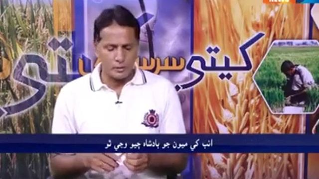 Faisal Kachelo on Land Lord Taxation & Agricultural Export Business смотреть онлайн