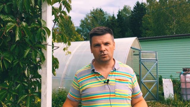 Выращивание арбузов и дынь в теплице в Подмосковье смотреть онлайн