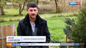 Немецкий пинчер. German pinscher