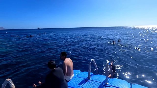 ШАРМ ЭЛЬ ШЕЙХ ?? ПОГОДА В ЯНВАРЕ SUNRISE REMAL RESORT 4* ОТЗЫВЫ ТУРИСТОВ О ОТДЫХЕ смотреть онлайн
