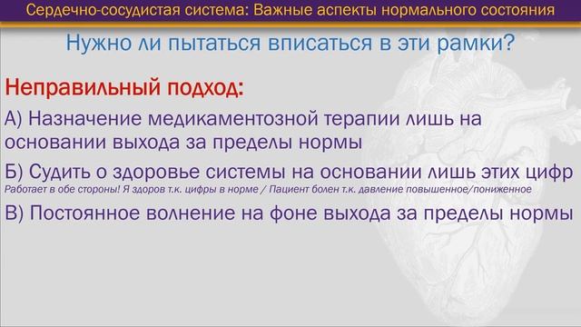 Что такое артериальное давление и частота сердечных сокращений, и от чего они зависят [S06E02] смотреть онлайн