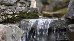 Waderlust - beautiful relaxing music for stress relief | with Bird sound & water flow