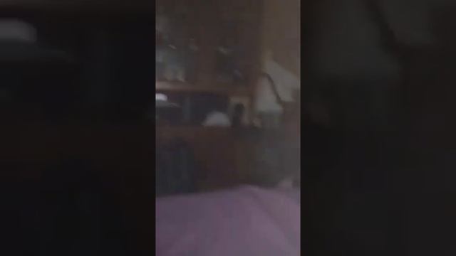Это видео было сделано в моём день рождении, запись была сделана с устройства Xiaomi Mi-4c смотреть онлайн