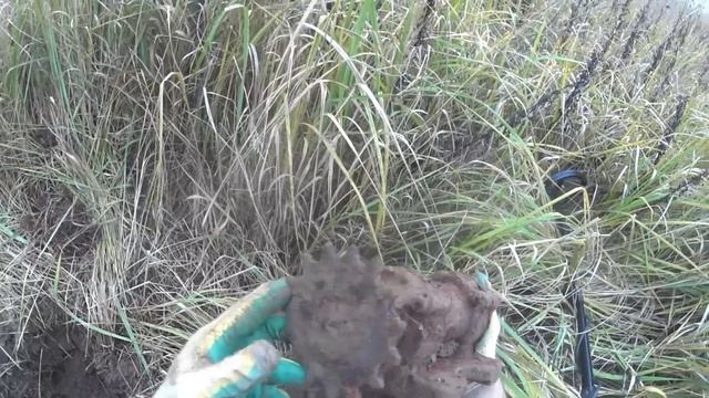 МЕСТНЫЕ ЖИТЕЛИ ПОКАЗАЛИ И РАССКАЗАЛИ ГДЕ ЛЕЖИТ МЕТАЛЛ! METAL SEARCH WITH METAL DETECTOR QUEST Q20! смотреть онлайн