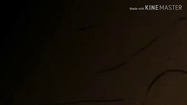 Коты-Воители. Листопад и Остролистая. Бьётся сердце бесполезно. смотреть онлайн