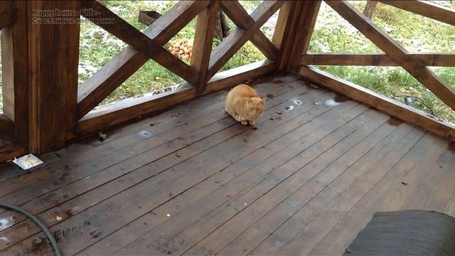 Как уберечь водопровод и сантехнику на даче от мороза смотреть онлайн