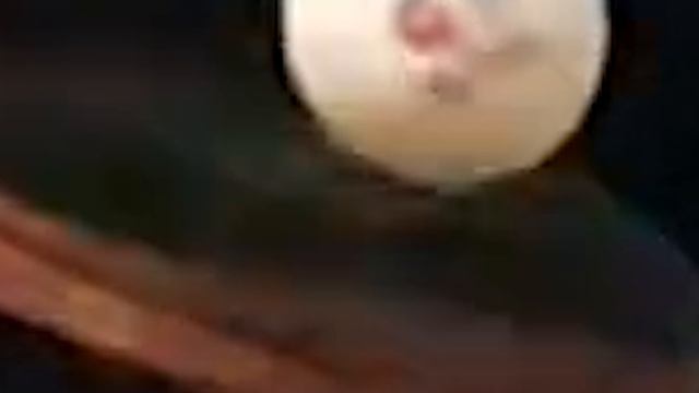 Подача Помыткина и мнение Шибаева slow mo проката +960 к.сек смотреть онлайн