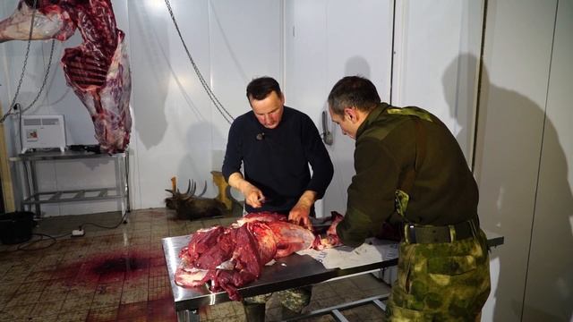 Как разделать тушу лося? смотреть онлайн