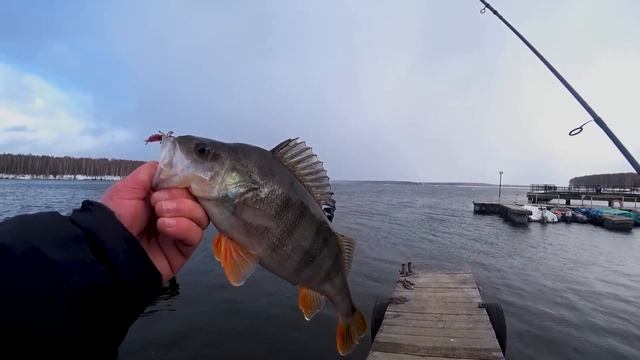 НЕ ОЖИДАЛ ТАКОГО!!! ОТЛИЧНЫЙ КЛЕВ ОКУНЯ НА МИКРОДЖИГ!!! смотреть онлайн