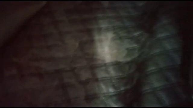 Amazing Car Accessories For Toyota Yaris At Sehgal Motors !!