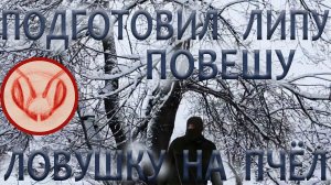 Зимой готовлю деревья для установки на них ловушек на рои. The tree is heavily rooted