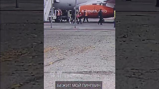 Встреча. Аэропорт 11.2020 Москва - Элиста. Airport 2020, Elista, Kalmykia смотреть онлайн