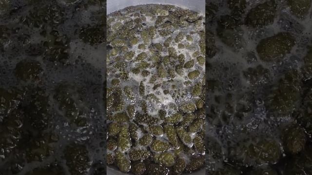 варенье из сосновых шишек смотреть онлайн