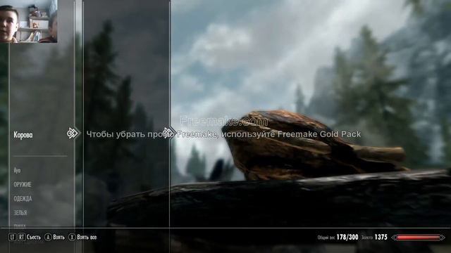 прохождение игры TESV skyrim #6 играю с другом ilya and games смотреть онлайн