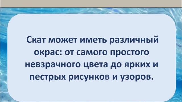 ЖИВЫЕ ЭЛЕКТРОСТАНЦИИ смотреть онлайн