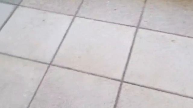 71). Повесили ТВ. Купили когтеточку. Влог. Поздние переселенцы. Германия смотреть онлайн