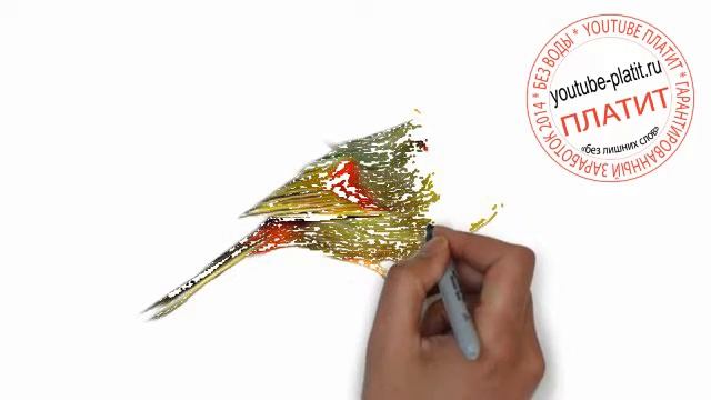 Птицы нарисованные карандашом Как нарисовать пеструю синицу поэтапно за 23 секунды смотреть онлайн