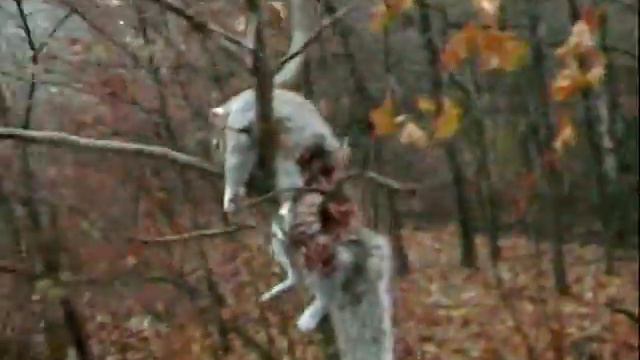 Tree rattin смотреть онлайн