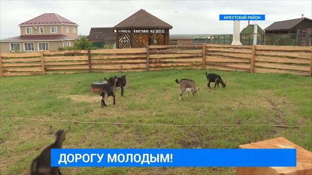Семейная ферма смотреть онлайн