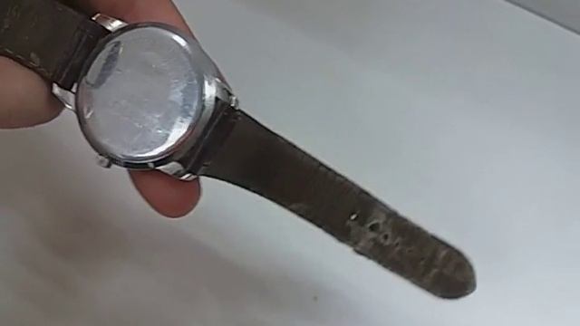 Видео №277233