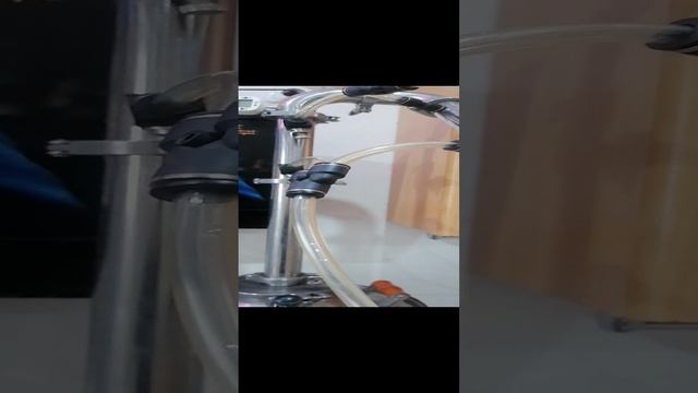 VID_20240110_143928.mp4 смотреть онлайн