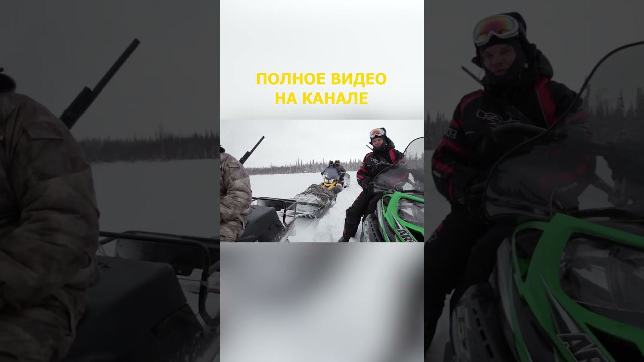 31 НЕВЕРОЯТНОЕ ПУТЕШЕСТВИЕ ДРУЗЕЙ НА КРАЙНИЙ СЕВЕР Дыхание Арктики Малоземельская тундр смотреть онлайн