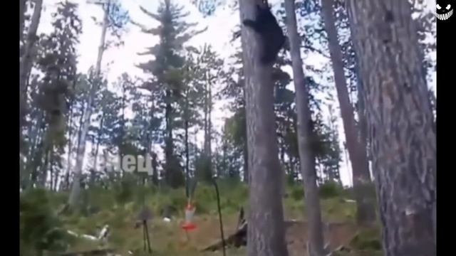 ЛУЧШИЕ ПРИКОЛЫ ОКТЯБРЬ 2018 ПОДБОРКА ЛУЧШИХ ПРИКОЛОВ #62 юмор смешно видео смешноевидео смотреть онлайн