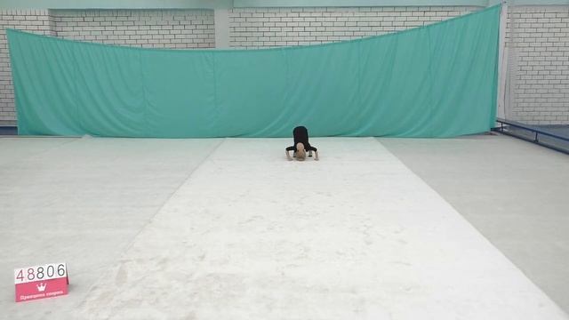 Обязательная программа – СШ 196 – команда "Незабудки" – 25.03.2021 - 48806 смотреть онлайн