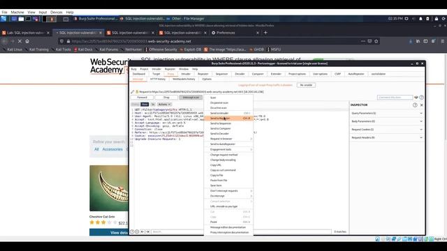 [SQL Injection] Where to retrieve Hidden Data смотреть онлайн