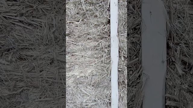 Экодом из КОНОПЛЕБИТА. 2020года.