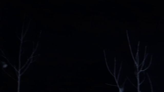 Путешествие на Вотчину Деда Мороза. Тропа Сказок, Дом Деда Мороза смотреть онлайн