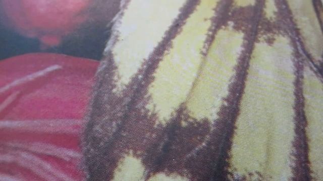 Шапочка из овчины.Hat made of sheepskin смотреть онлайн