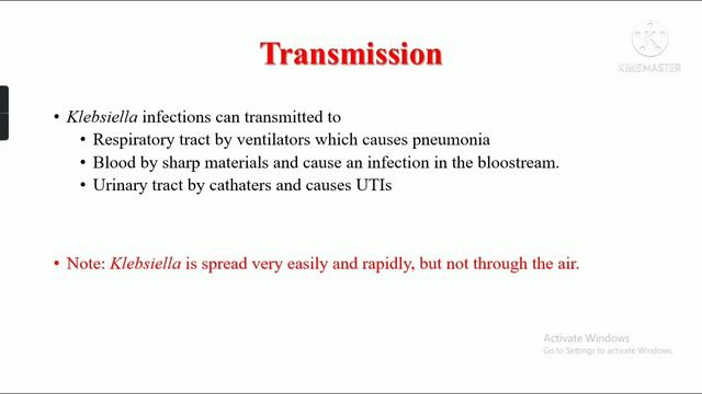 Klebsiella Pneumoniae
