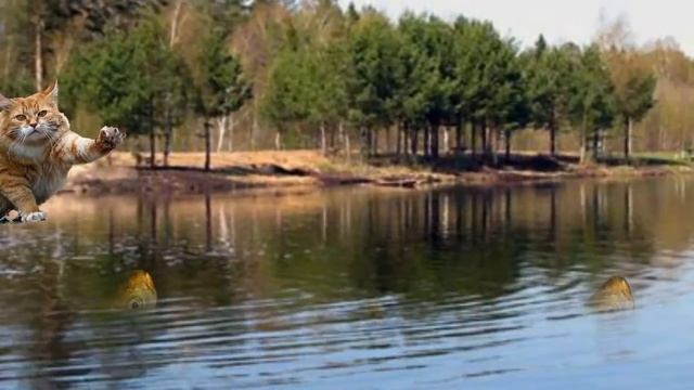 Подмосковье. смотреть онлайн