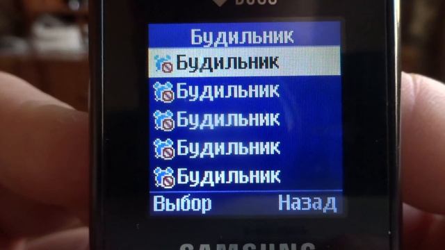 Обзор Samsung GT-E1202