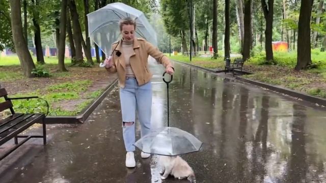 Зонтик для питомца смотреть онлайн