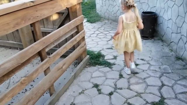 АКВАЗОО-ПЕТРОПОЛЬ I Усадьба сельского туризма, контактный зоопарк смотреть онлайн