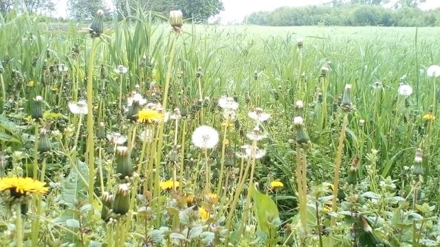 , Христианские стихи с глубоким смыслом. смотреть онлайн