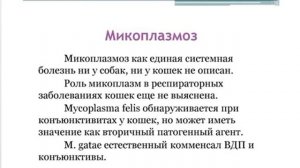 Вебинар. Инфекционные болезни кошек, Часть 2. Сеть ветклиник «Котонай».
