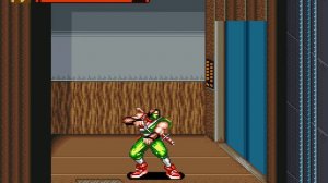 Brawl Brothers [SNES]|||