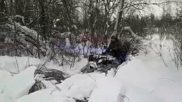 Тест драйв квадроцикла Polaris 500 sportsman на гусеницах смотреть онлайн