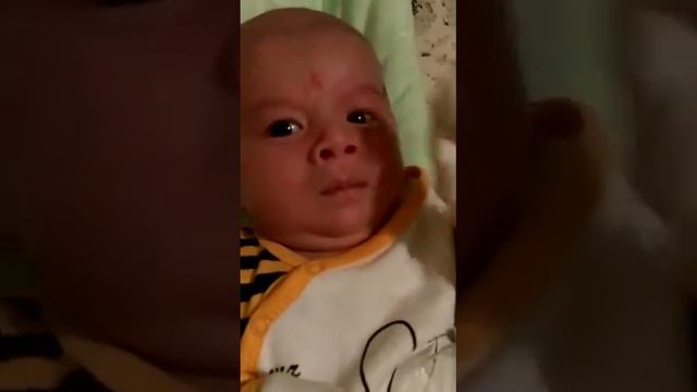 Тауке хан 2016 смотреть онлайн