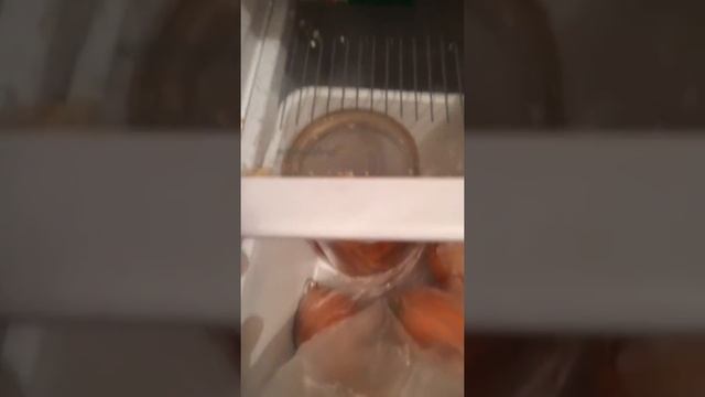 Покупки для крольчихи Даши смотреть онлайн