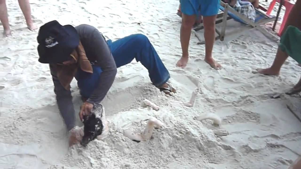 Dog is relaxing on the beach смотреть онлайн