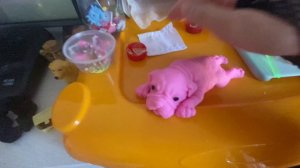 Влог, утро с рози ❤️🩷🎀