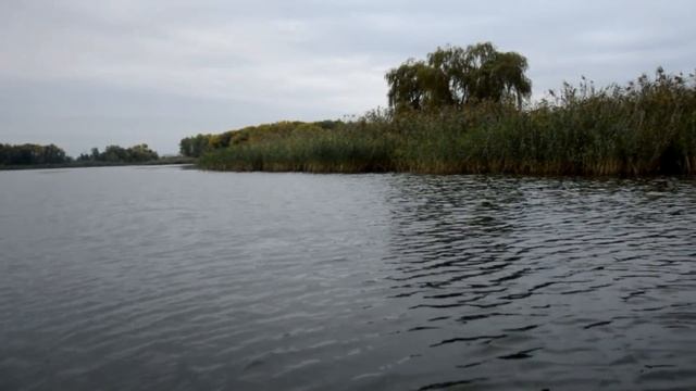 Ловля Щуки в Октябре! Как Дядя Витя Щуку ловил! смотреть онлайн